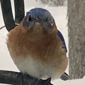 Meet your Posher, Eileen